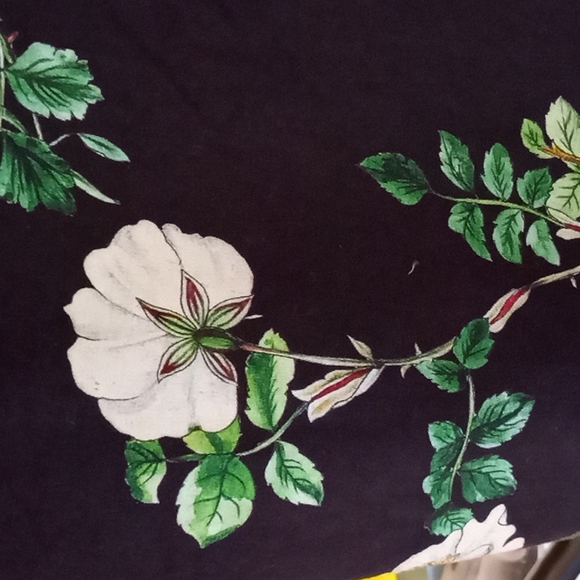 H&M NWT Floral Pants - Picture 8 of 9